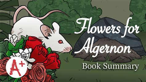 Flowers For Algernon Book Setting | Best Flower Site