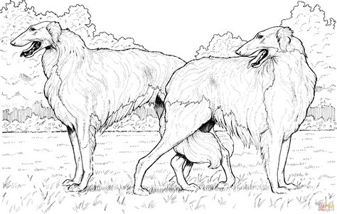 Borzoi Russian Wolfhound coloring page | Free Printable Coloring Pages