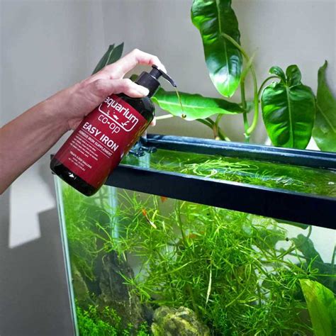 Beginner’s Guide to Fertilizing Your Planted Tank the EASY Way ...