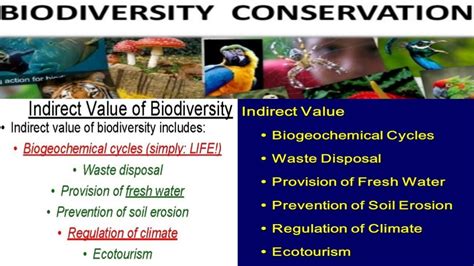 Indirect Values Of Biodiversity Lecture No 12 Part 4 Youtube