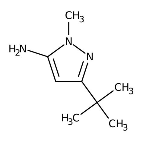 5 Amino 3 Tert Butyl 1 Methylpyrazole 98 Thermo Scientific Chemicals