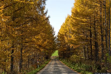 Why This Island In Japan Is The Best Place To See The Leaves Change ...