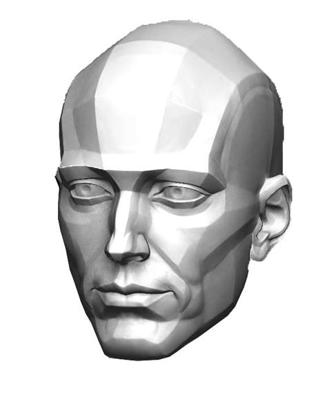 Male Head 3d Model Block Out Anatomy For Sculptors Artofit