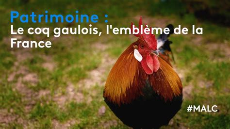 Patrimoine Le Coq Gaulois Embl Me De La France Youtube