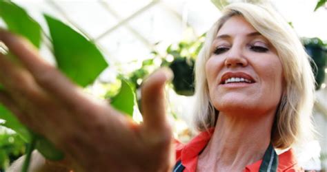 Beautiful Mature Woman Checking Plant In Greenhouse From Pikwizard