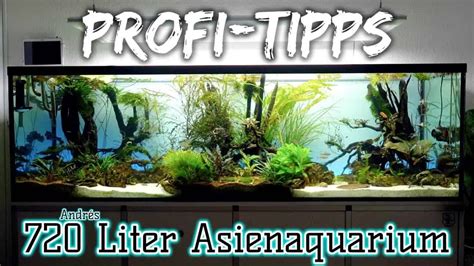 AQUaddicted Video Tipp Sand Im Aquarium Richtig Reinigen My Fish