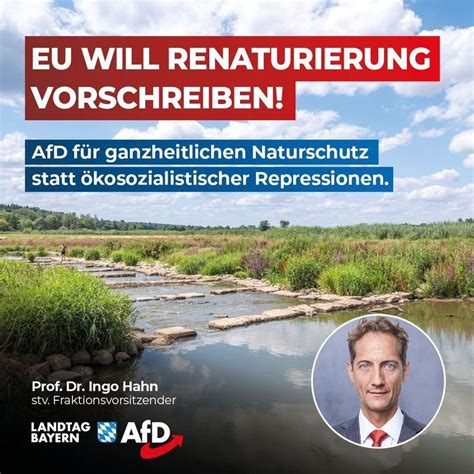 Eu Will Renaturierung Vorschreiben Afd F R Ganzheitlichen Naturschutz