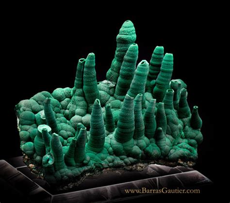 Malachite Barras Gautier Min Https Static Wixstatic Media