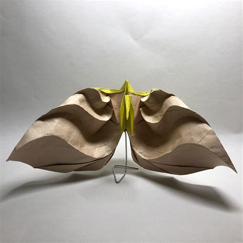 Tsuru Variation : origami