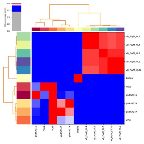 The Genome Sequence Similarity Between Phage Vcm Vb Psym Kil And