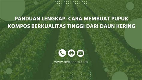 Panduan Lengkap Cara Membuat Pupuk Kompos Berkualitas Tinggi Dari Daun