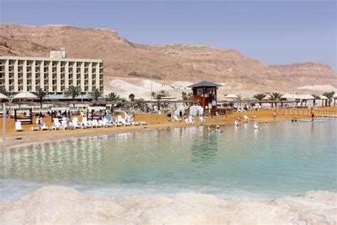 Semesterfirare Och Turister Badar I Det D Da Havet Israel Redaktionell