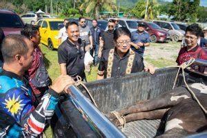 Ewon Sumbang Tujuh Ekor Lembu Korban Kepada Tujuh Masjid DUN Kadamaian