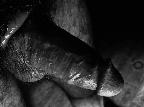 Noir Nude Pics Xhamster