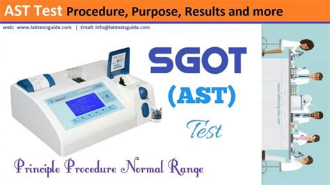 AST Test Procedure, Principle, Reasults And More | Lab Tests Guide