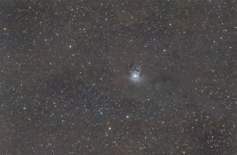 Ngc Iris Nebula Nikon D Zenithstar Ii Dsos Spring