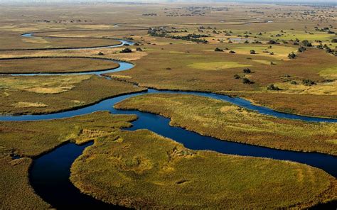 Wildlife Conservation Volunteer Project in Botswana | IVHQ