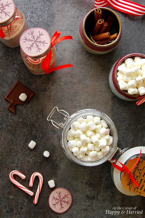 Hot Chocolate Mix Christmas Edible Gift