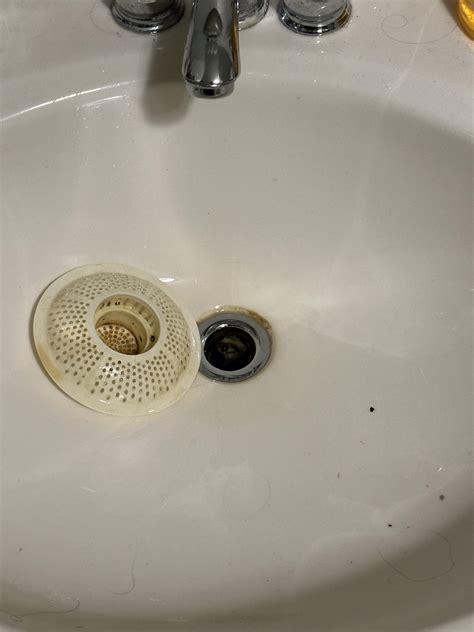 I thought there were people chilling in my drain this morning : r