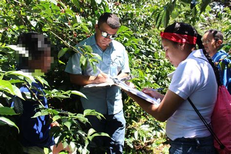 En Chiriquí MITRADEL realiza operativos contra el trabajo infantil