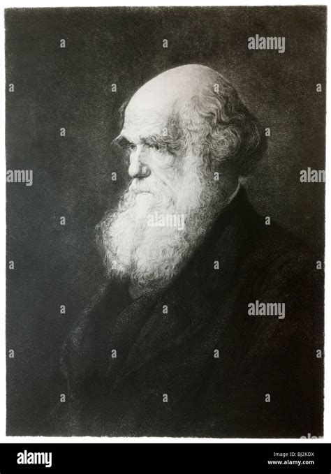 Charles Darwin Portrait Hi Res Stock Photography And Images Alamy