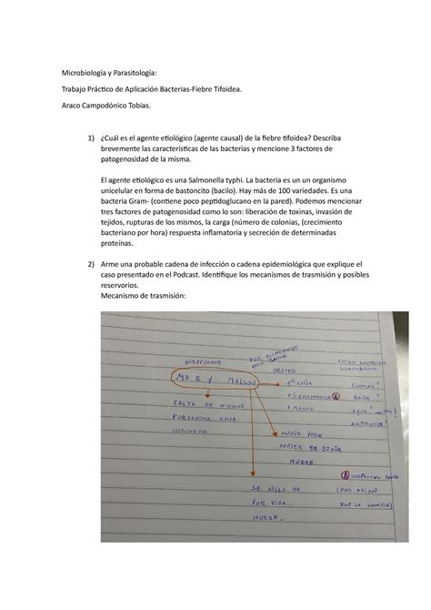 Trabajo Practico Fiebre Tifoidea Microbiología y Parasitología