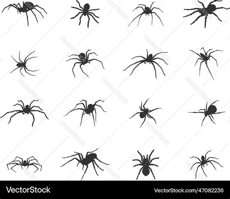 Spider Silhouette Svg Icon Royalty Free Vector Image