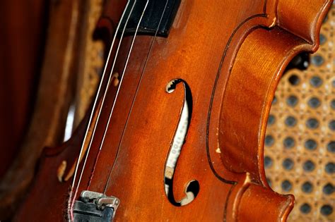 Violin Instrument Strings Free Photo On Pixabay Pixabay