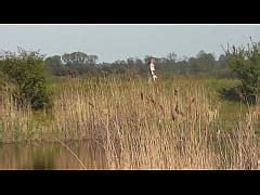 Wild Beach Naked In Public Two Fisherman Guys Saw Beautiful Milf On
