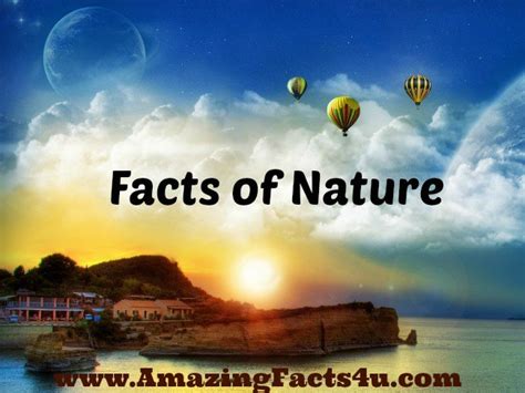 Amazing Nature Part 2 Amazing Facts 4 U