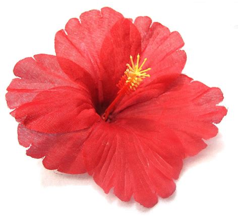 Classic Red Tropical Hibiscus Flower Hair Clip Flowers In Hair Flower Hair Clips Red Hair