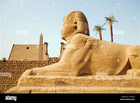 Avenue Of The Sphinxes With The First Pylon And Obelisk In The