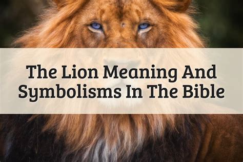 Lion Meaning In The Bible Its Unbelievable Facts 2024