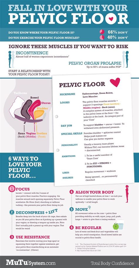 Pin by hannah abad on exercise pelvic floor pelvic floor dysfunction ...