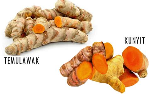 6 Perbedaan Temulawak Dan Kunyit Dari Warna Aroma Bentuk Dll Dan