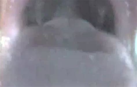 Hot Blonde Blowjob Pov Biguz Net