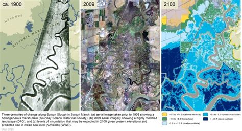 Planning For The Inevitable At Suisun Marsh California Waterblog