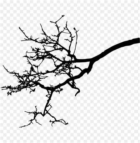 Free download | HD PNG Transparent tree branch silhouette PNG Image ...