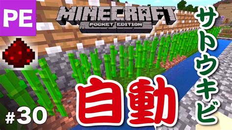 マイクラpe サトウキビ自動収穫装置 30 Youtube