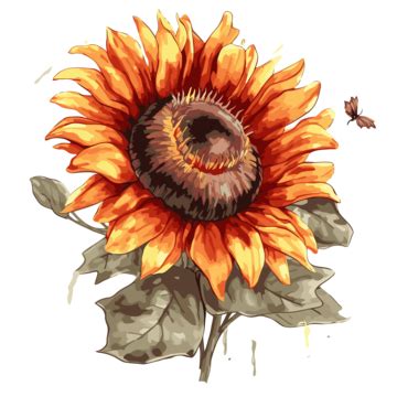 Girasol De Otoño Vector PNG dibujos Pegatina Clipart El Girasol Y La