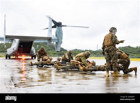 U S Marines With III Marine Expeditionary Force And Members Of The