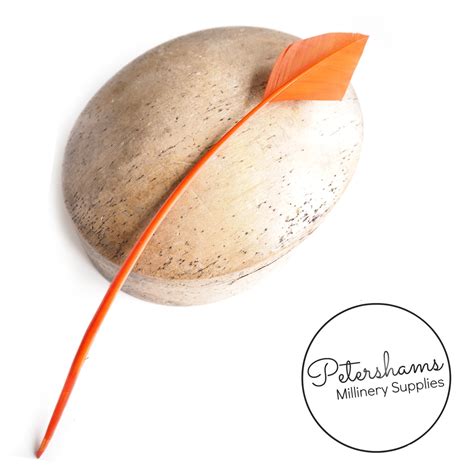 Arrowhead Turkey Quill Feather – Petershams Millinery Supplies
