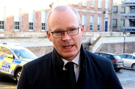 Simon Coveney slams Russia's "peacekeeping" as "nonsense"