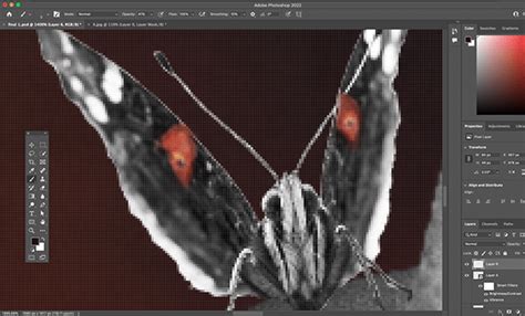 Composition and Voice on Behance 