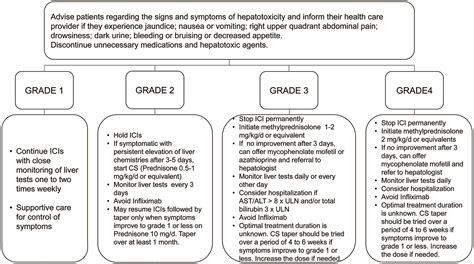 Immunotherapy Induced Hepatotoxicity A Review