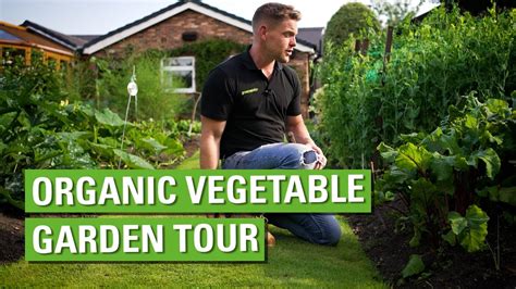 Organic Vegetable Garden Tour Youtube