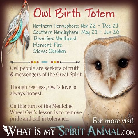 Owl Totem | Native American Zodiac Signs & Birth Signs