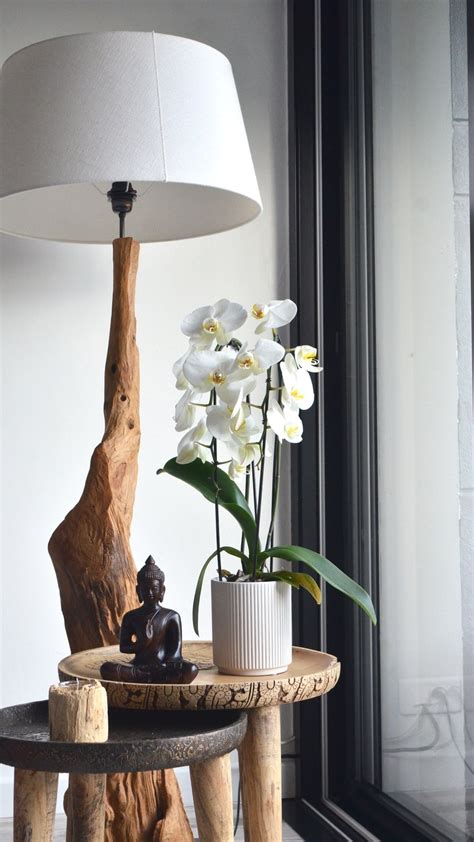 5 fragrant flowers to help refresh your home