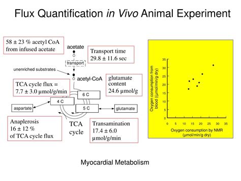 Ppt Bioinformatics For Metabolomics And Fluxomics Powerpoint