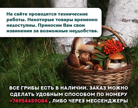 Натуральные товары для здоровья и суперфуды в интернет-магазине ByPlants